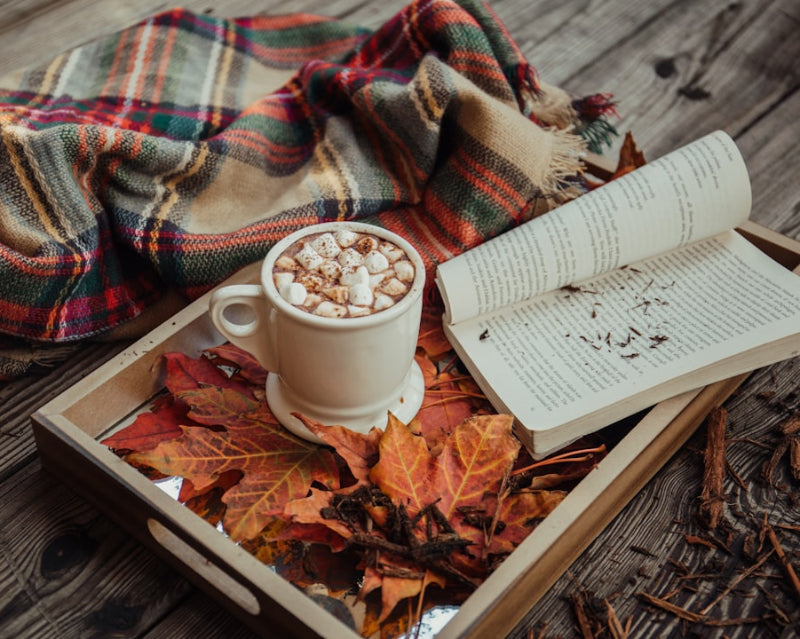 Cup of hot chocolate with marshmallows sitting on a tray with leaves, book, and blanket around it