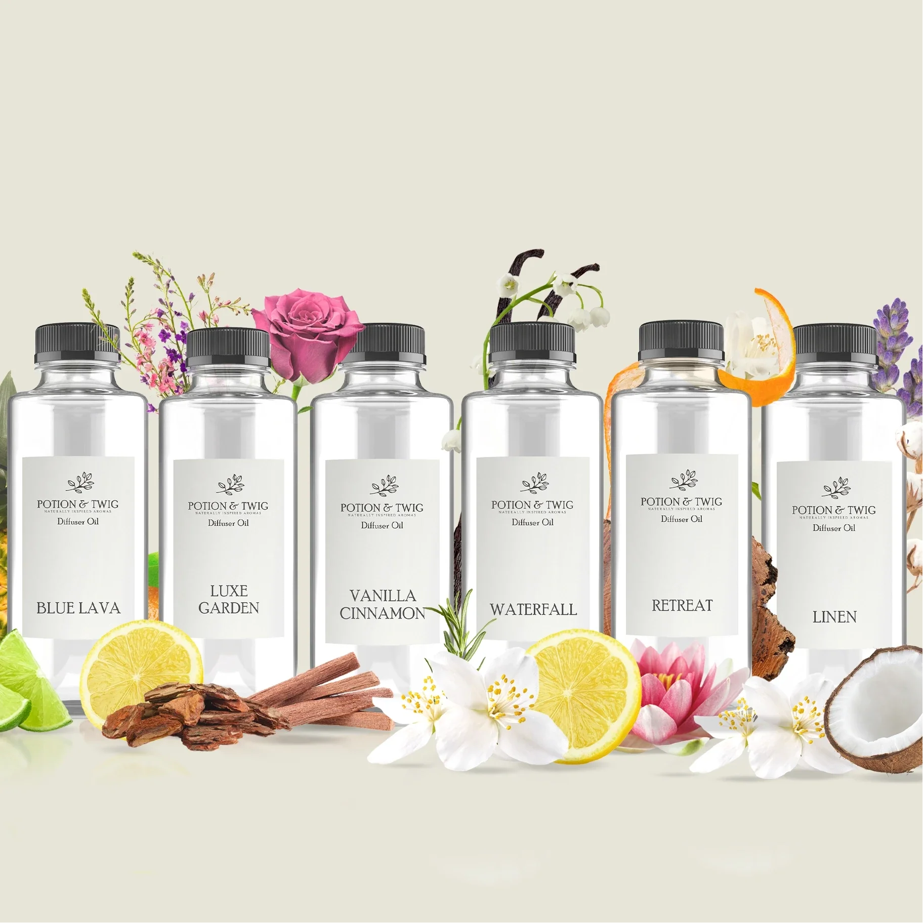Row of Potion & Twig diffuser oil bottles with floral and botanical elements on a light background