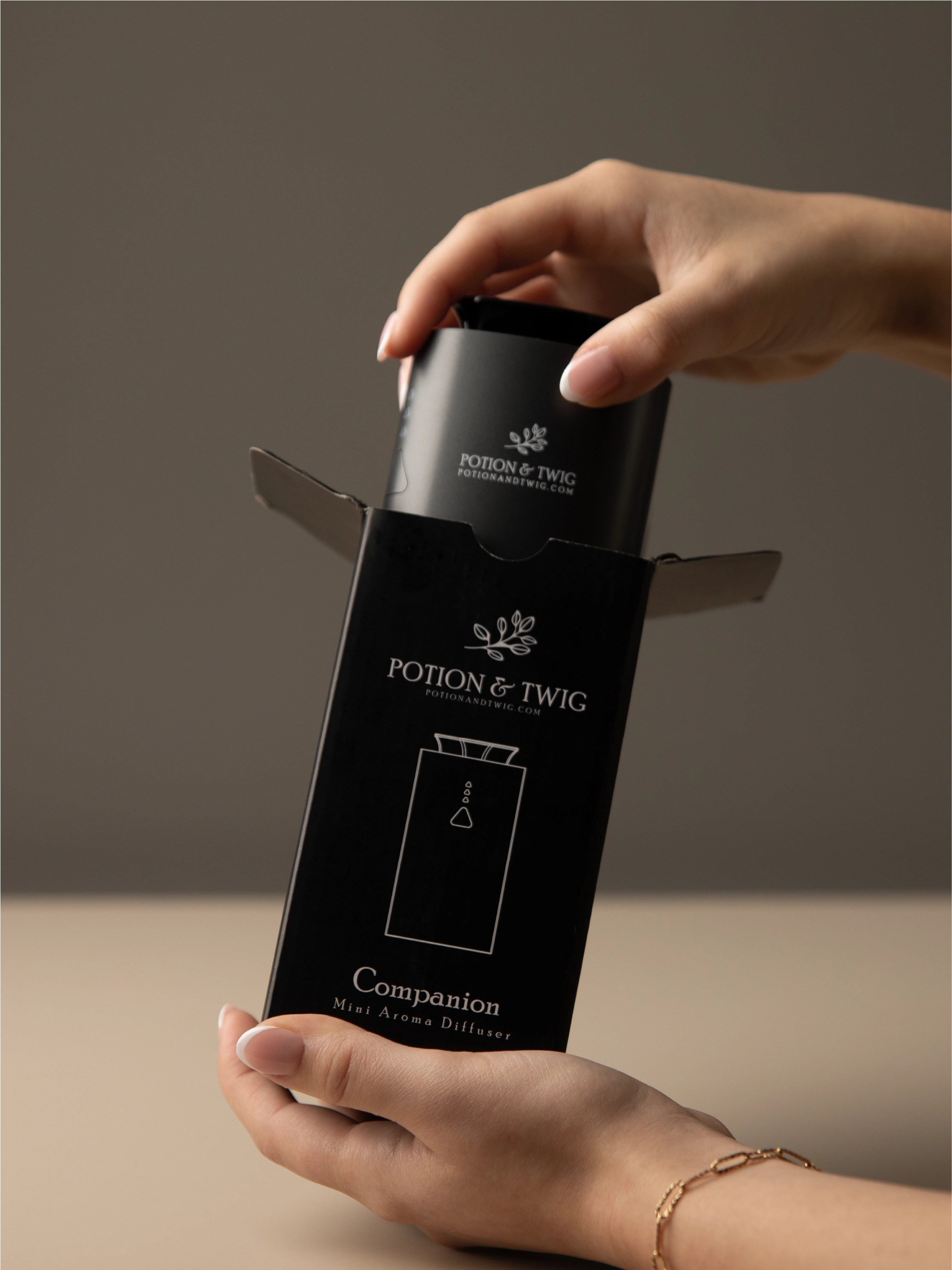 Companion Mini Portable Diffuser