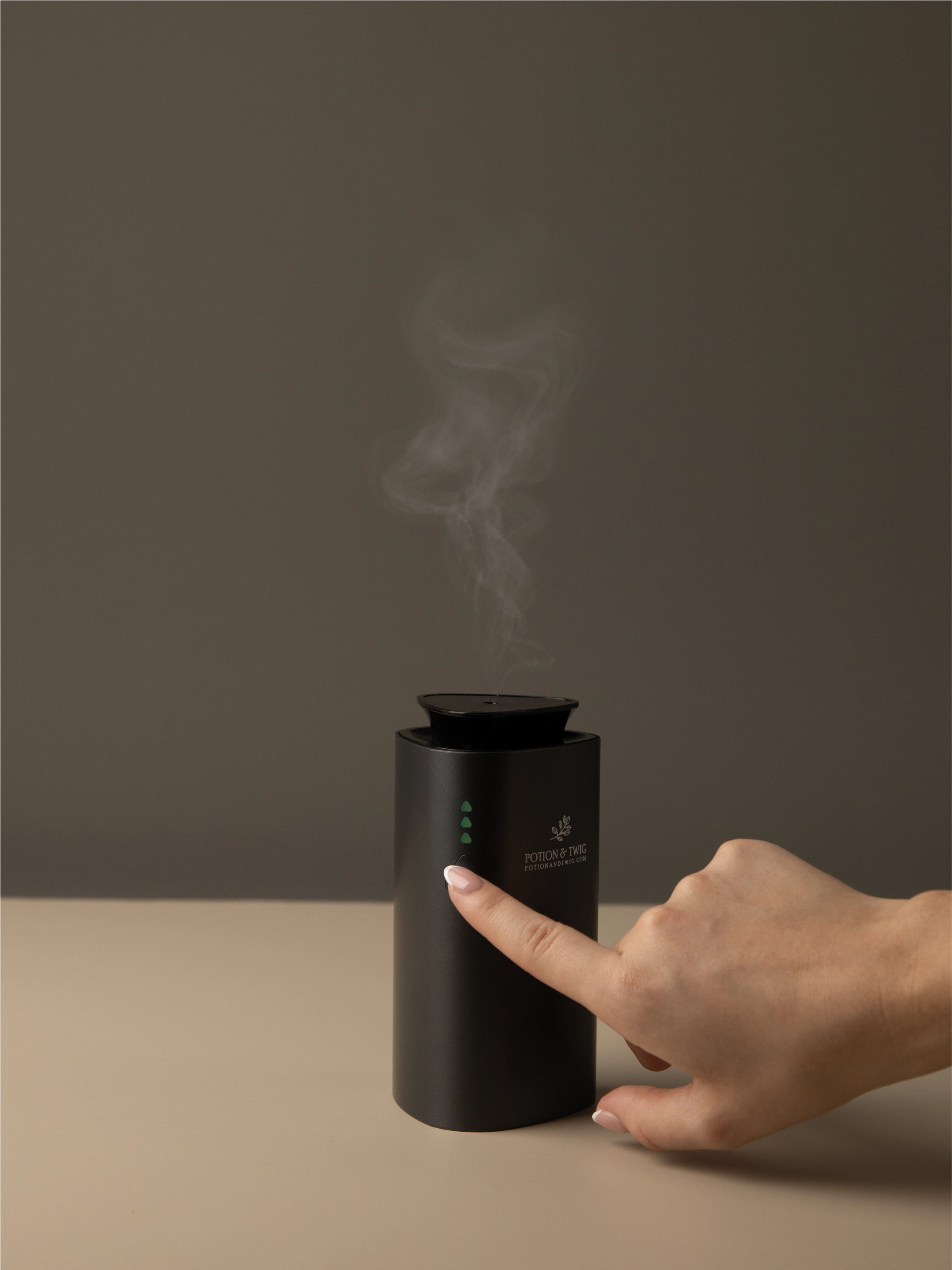Companion Mini Portable Diffuser