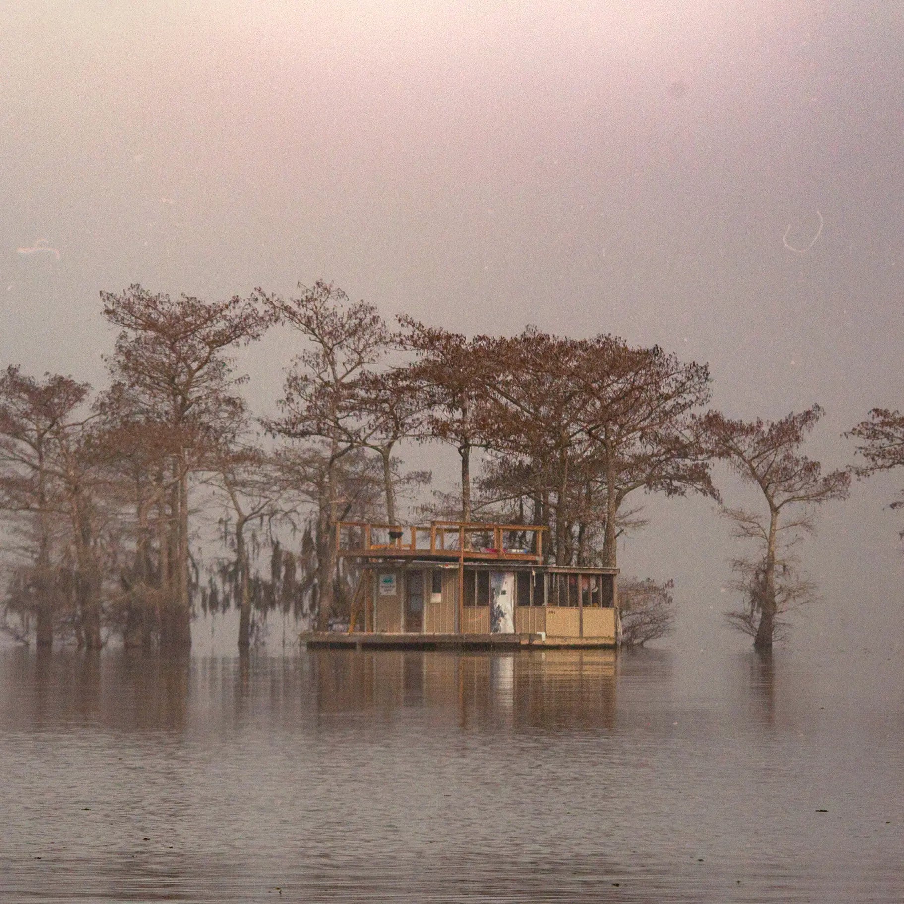 Bayou Dreams
