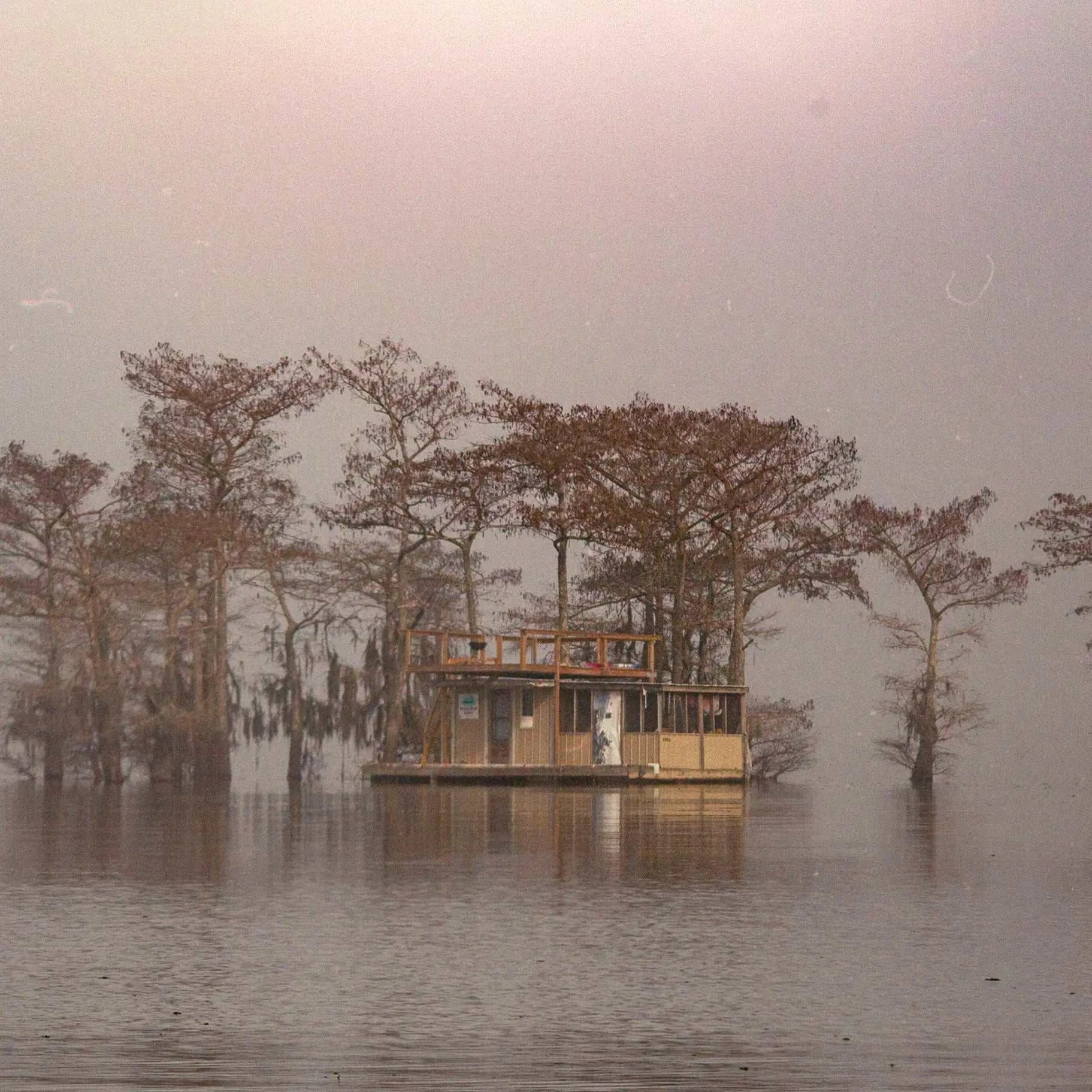 Bayou Dreams