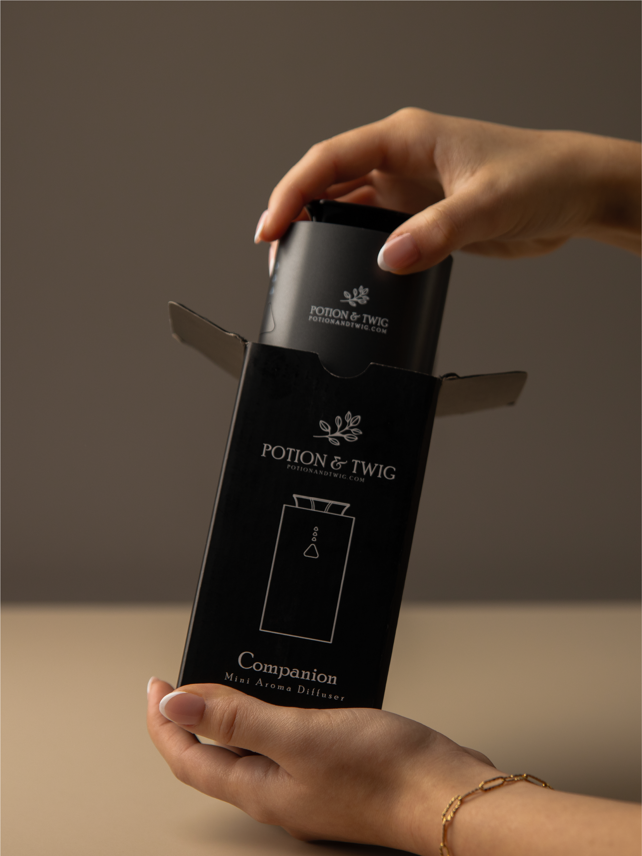 Companion Mini Portable Diffuser