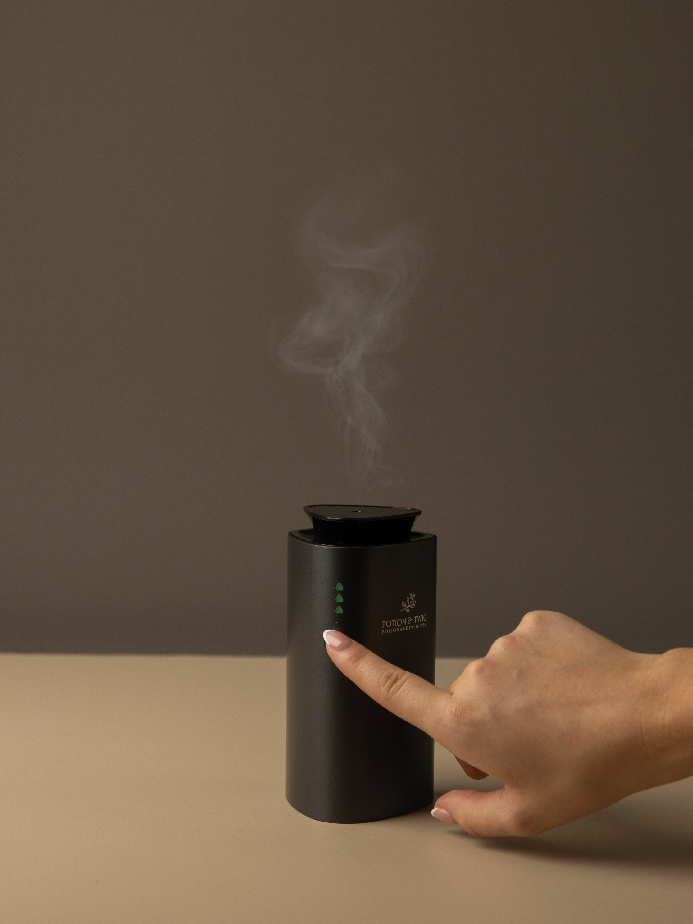 Companion Mini Portable Diffuser