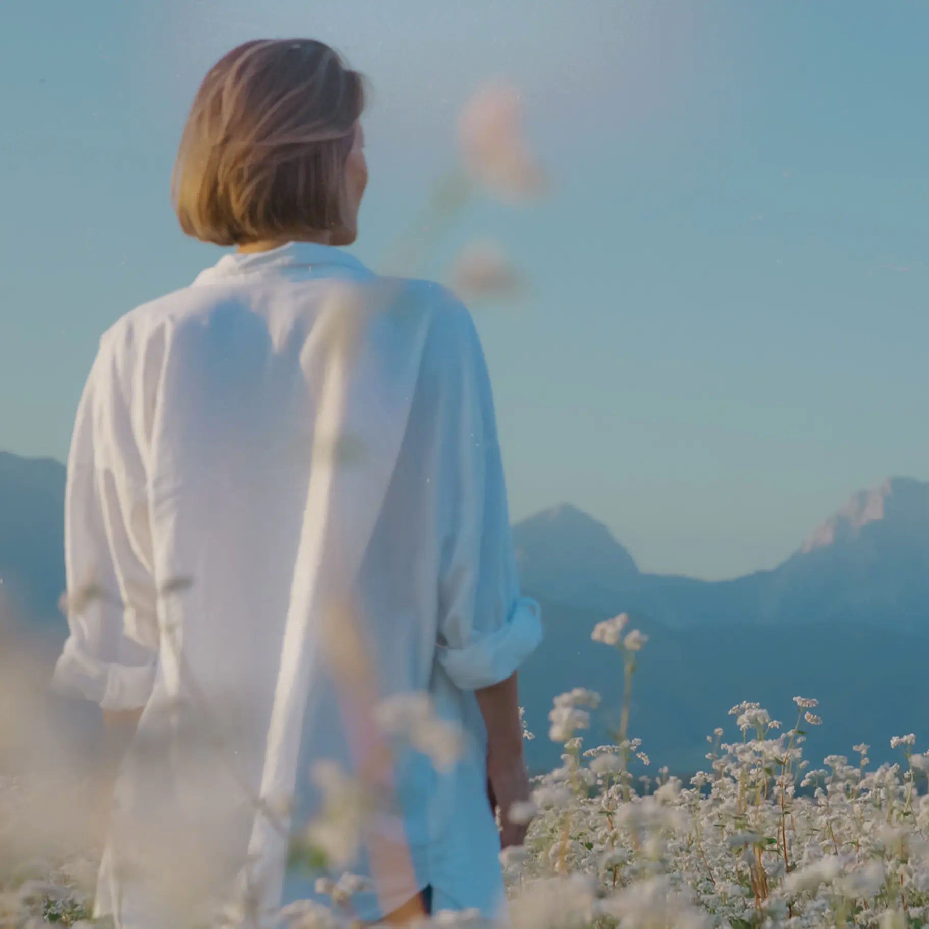 Daydream
