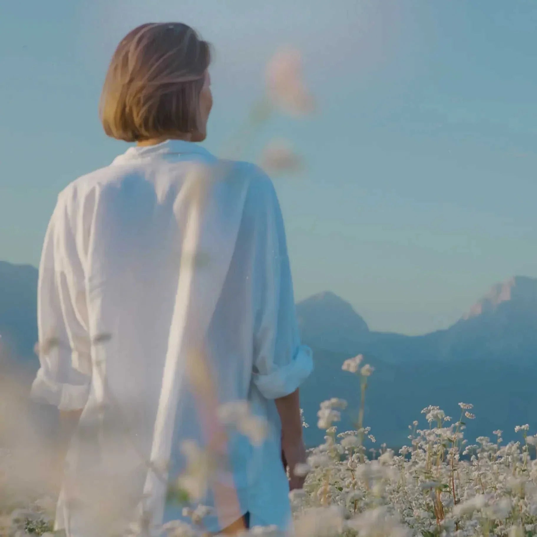 Daydream