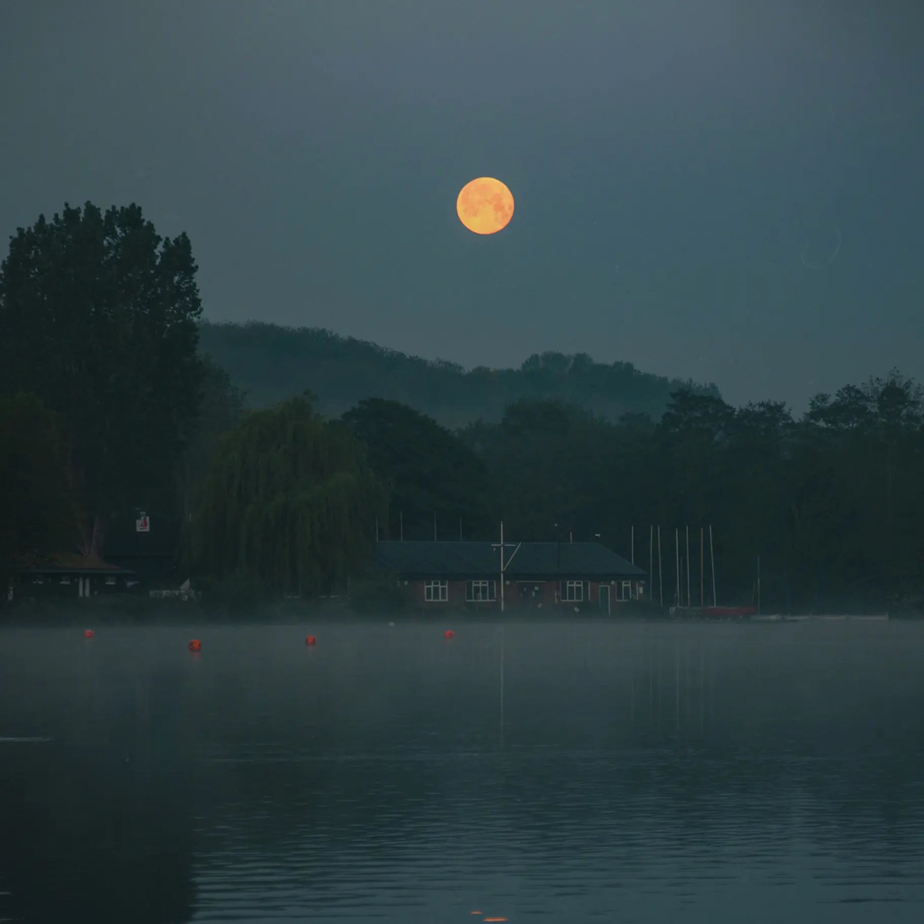 Enchanted Nightfall