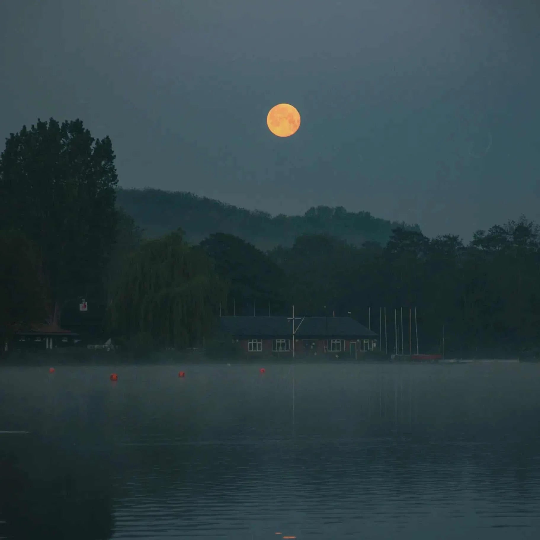 Enchanted Nightfall