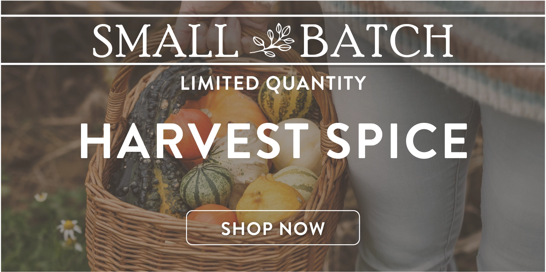 inspirational image promoting Shop Now: Small Batch diffuser oil fragrance Harvest Spice.