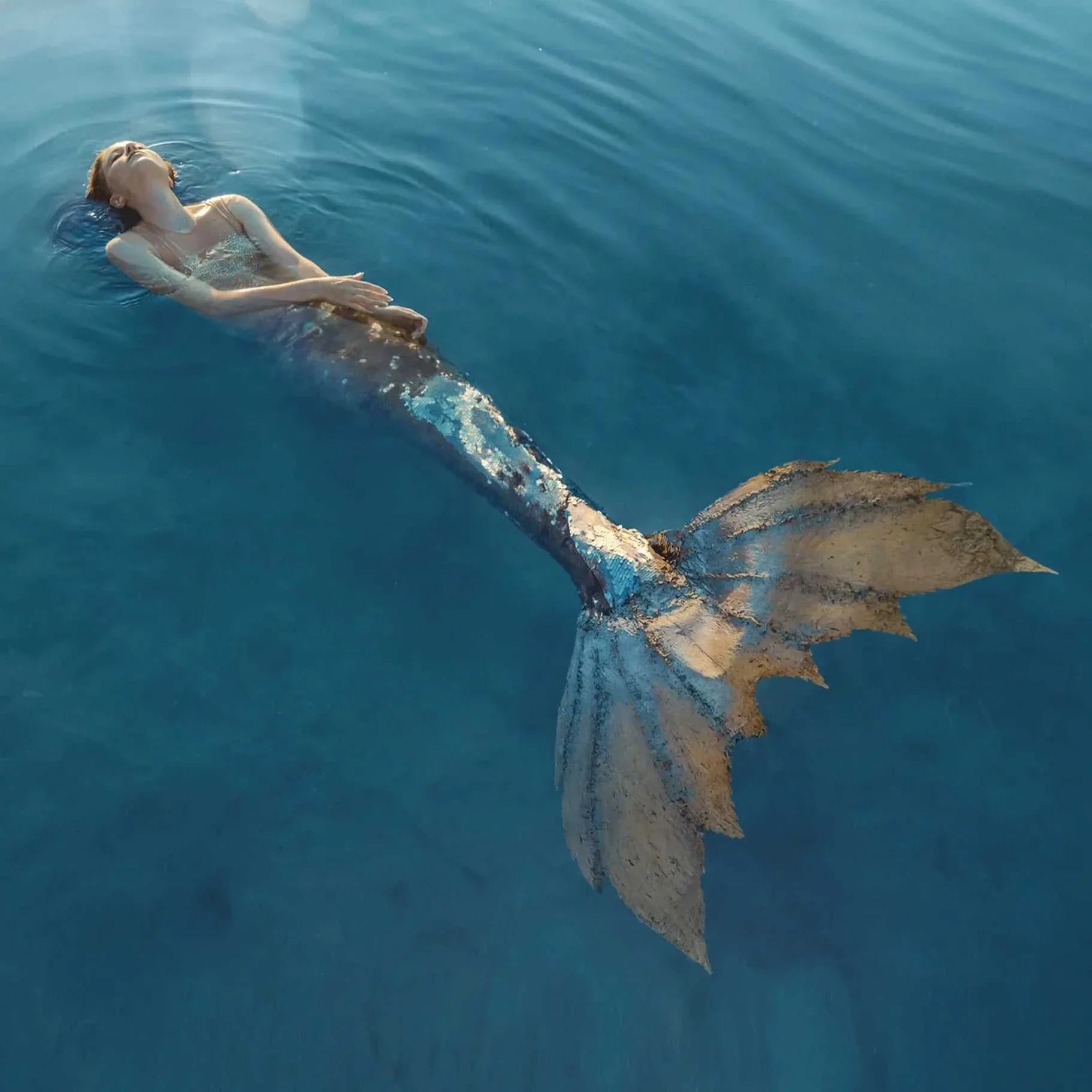 Mermaid Adventures