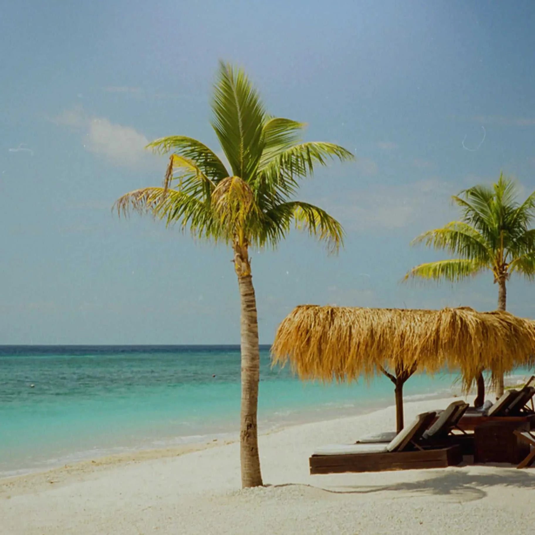 Seaside Serenity