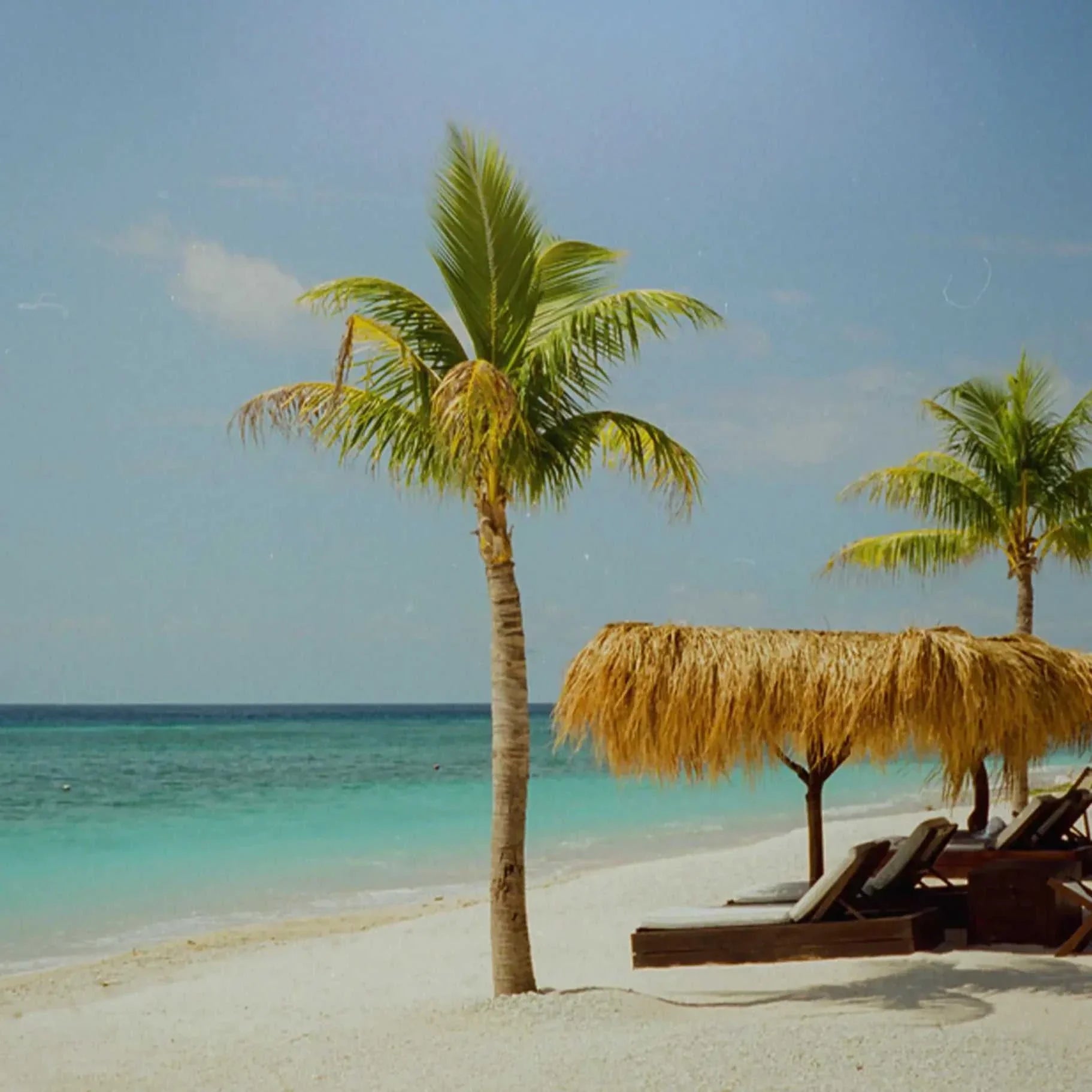 Seaside Serenity