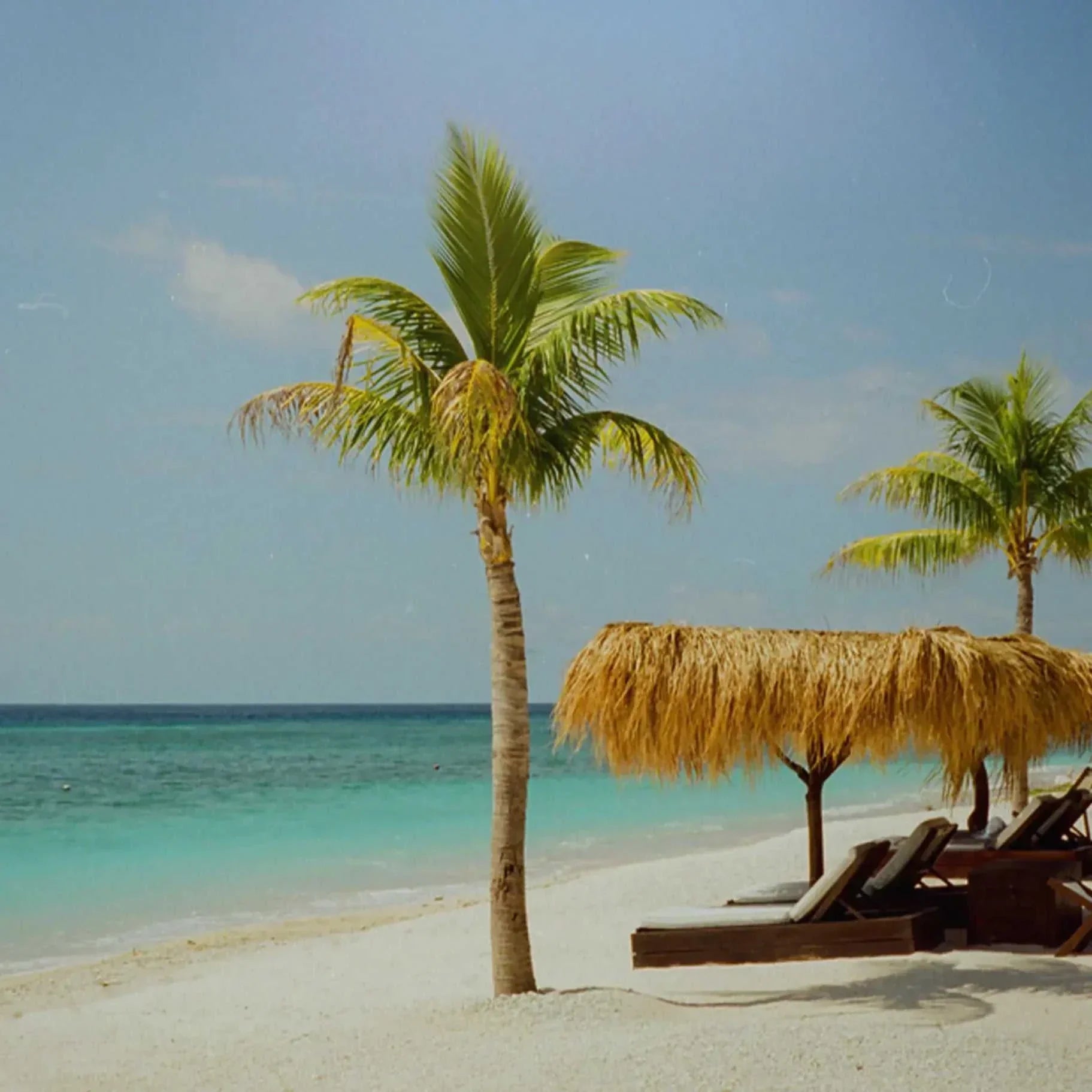 Seaside Serenity