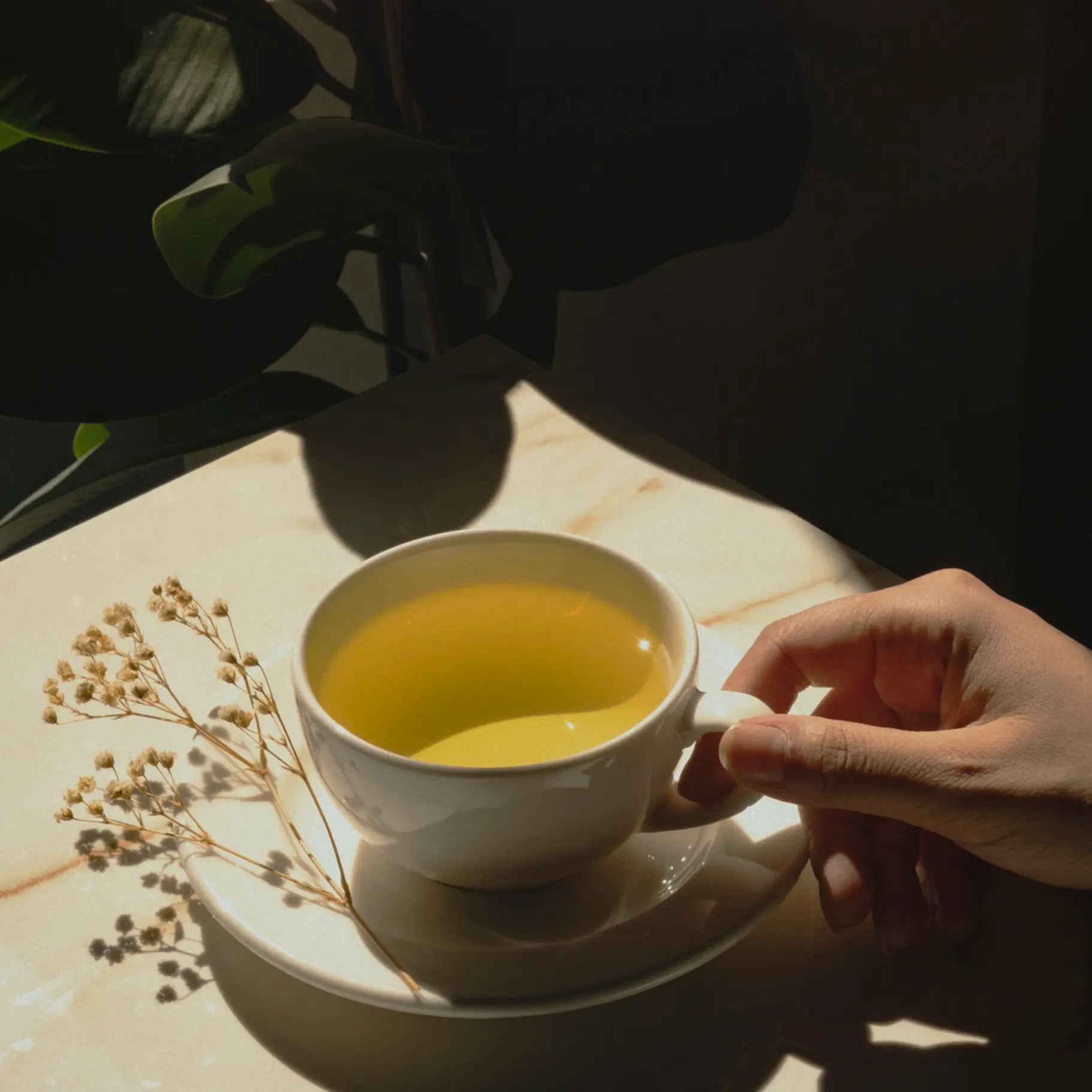 White Tea & Sandalwood