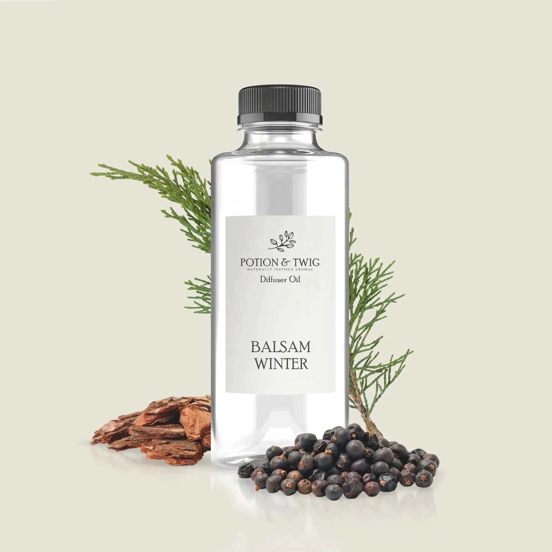 Snow-covered balsam and cedarwood forest with bright juniper berries in winter scene