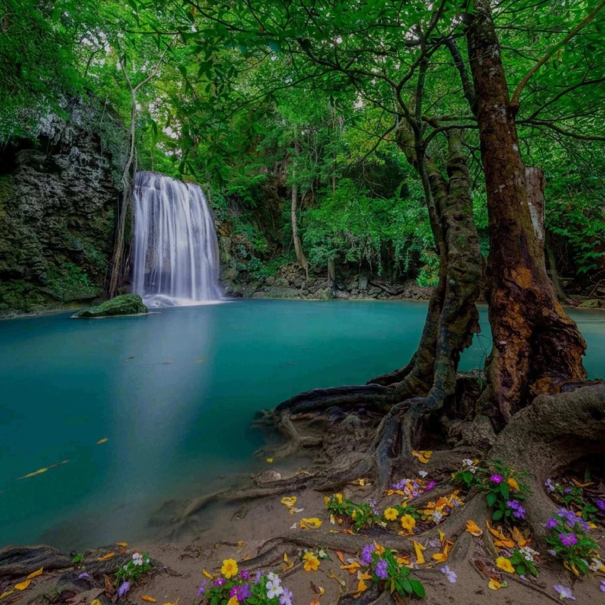 Santal turquoise waterfall with a white cascade flowing into a pool among lush green forest trees and exposed roots