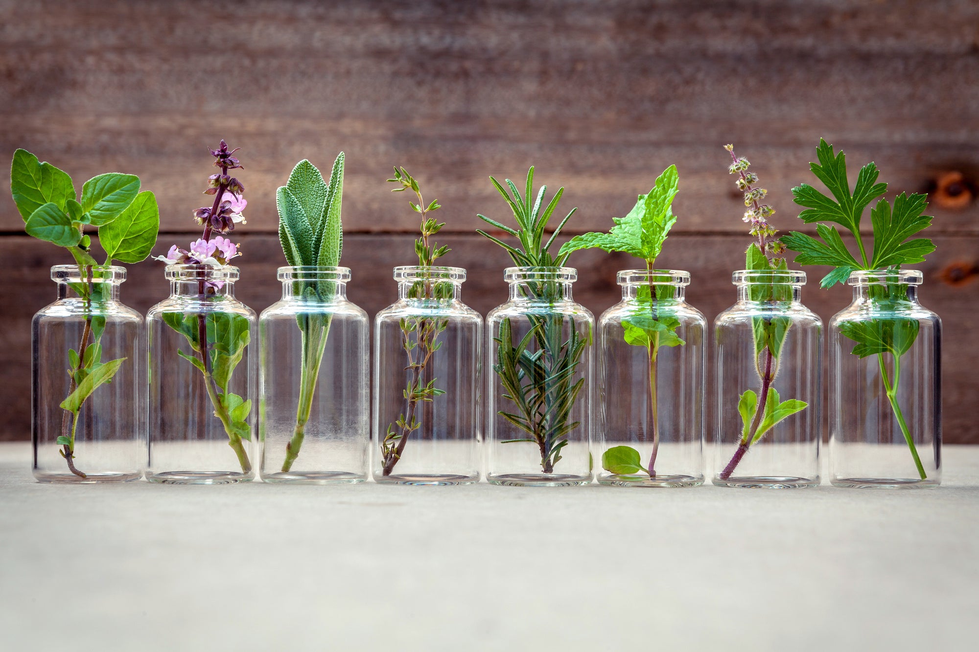 Five Scents That Affect Your Thoughts and Feelings