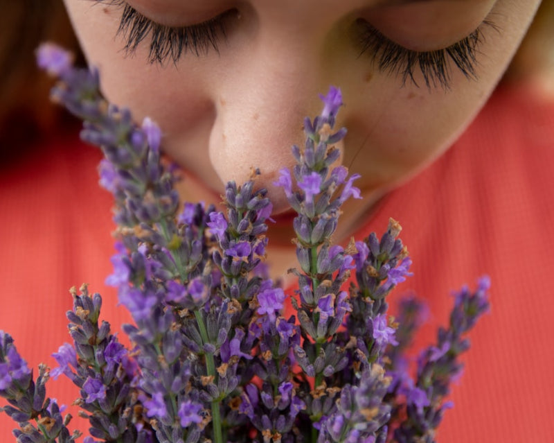 Home Scent Awareness