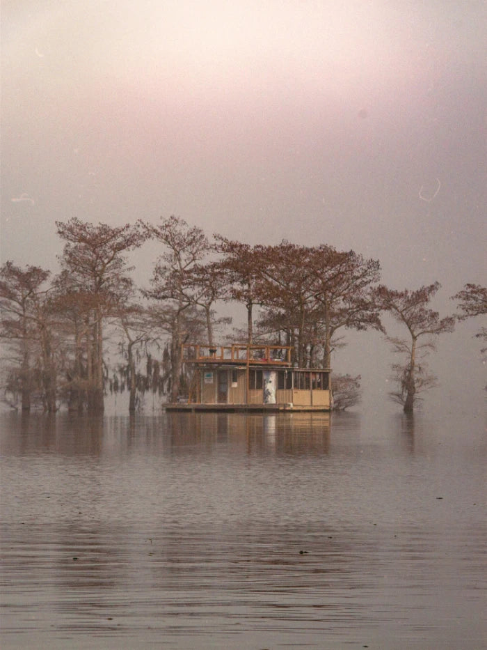Bayou Dreams
