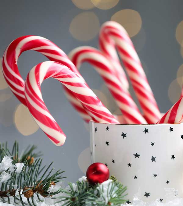 Candy Cane