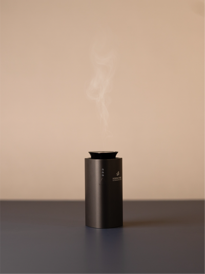 Black Companion scent diffuser on light neutral background