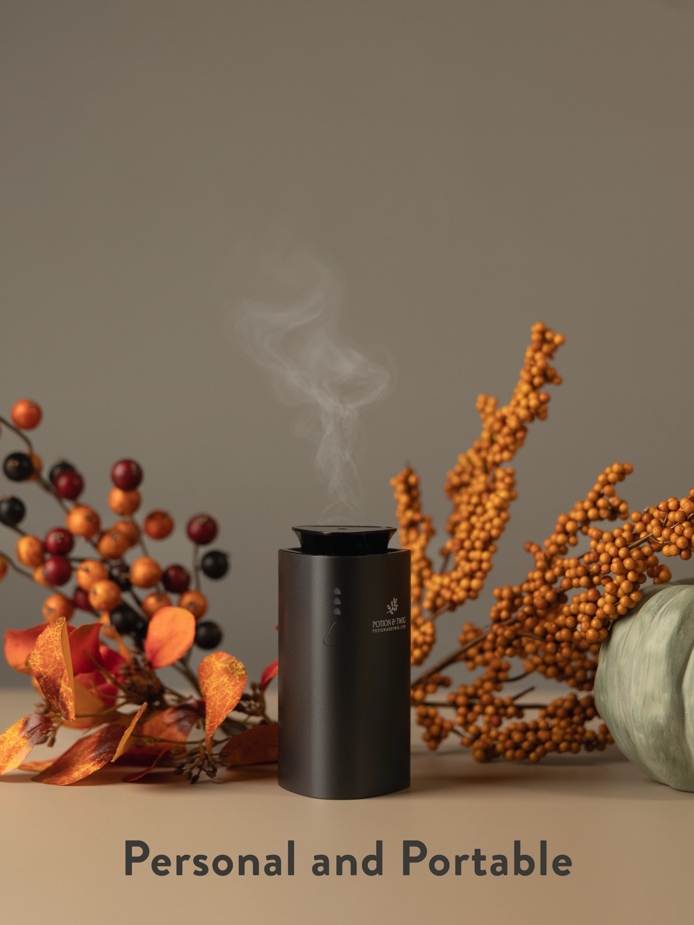 Companion Mini Portable Diffuser