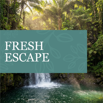Fresh Escape Bundle with calm aquatic and floral scents creating a tranquil atmosphere