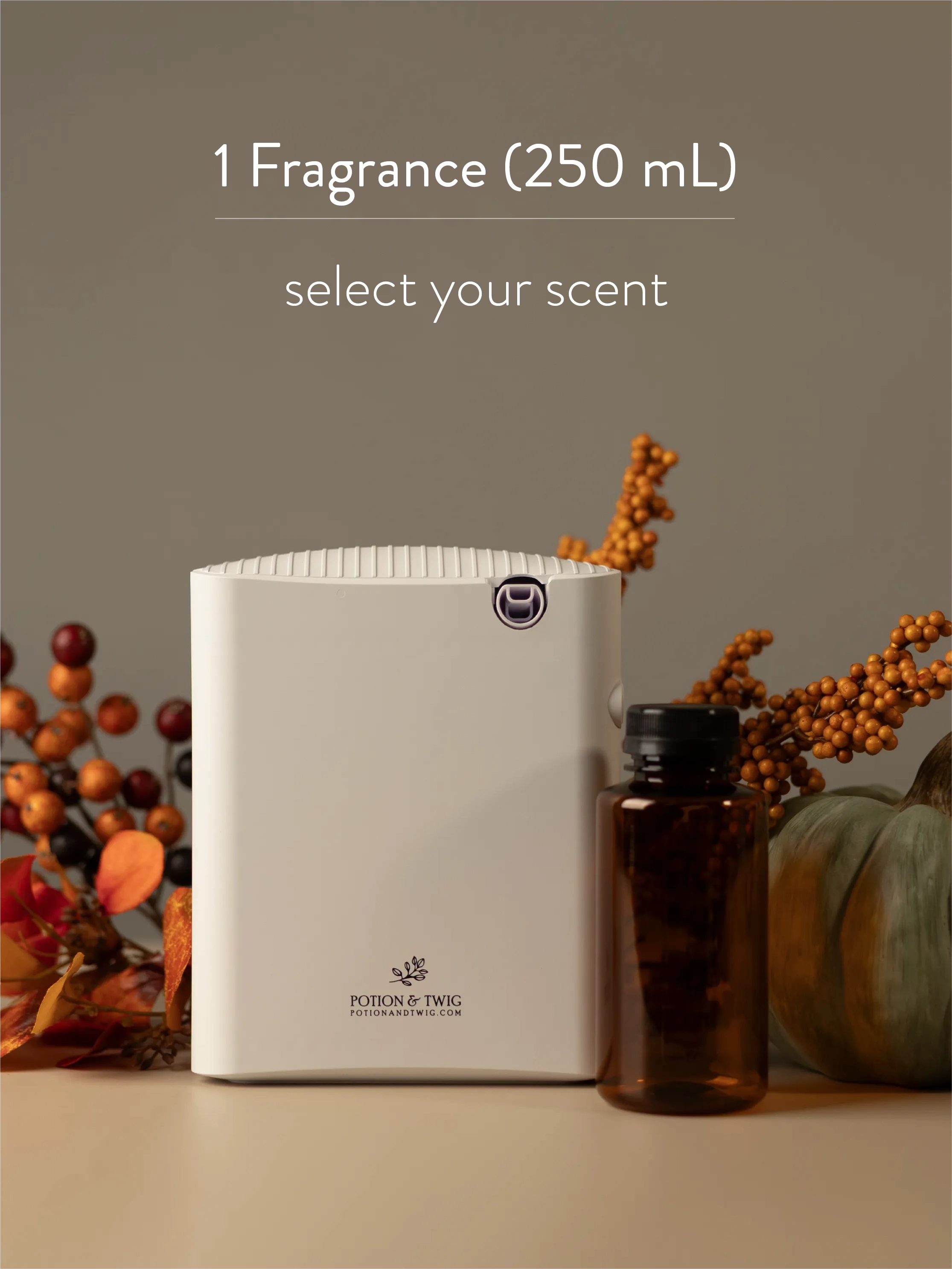 Gallery with Fragrance