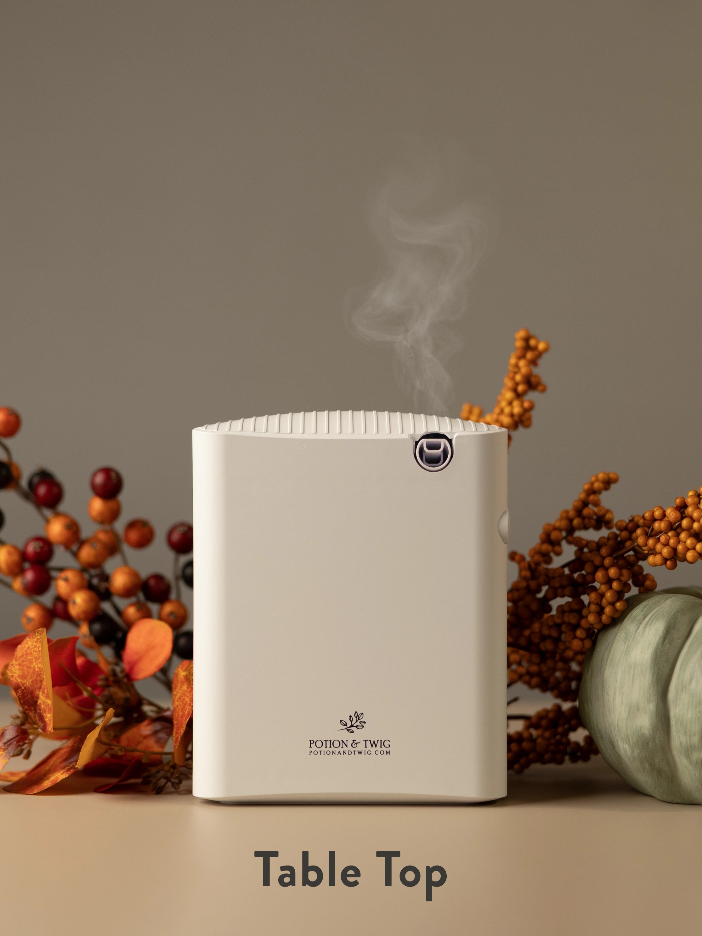 Gallery Smart Home Diffuser