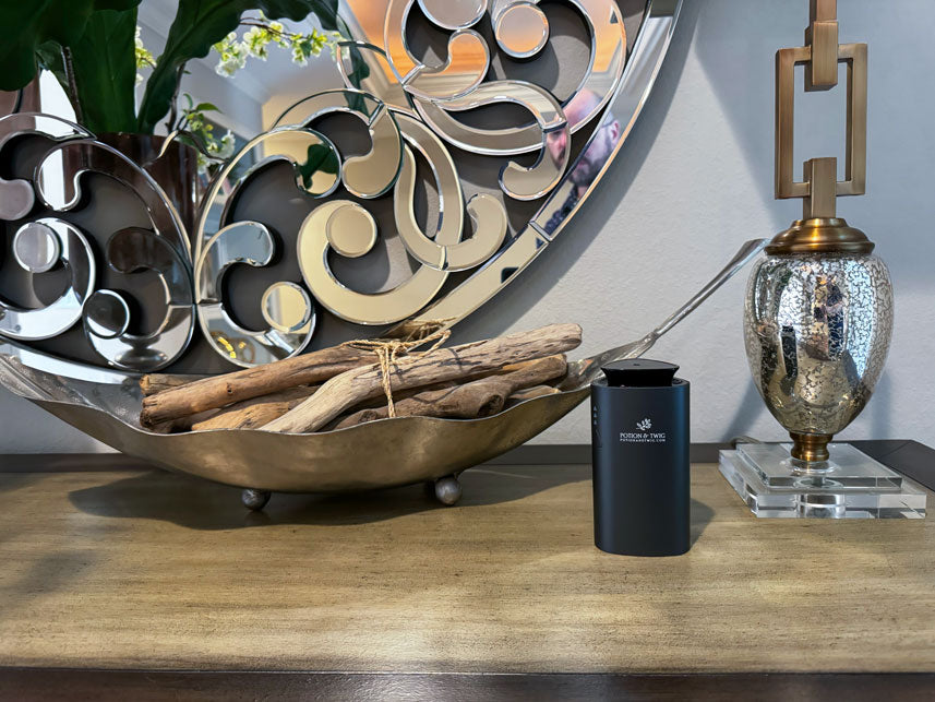 Companion Mini Portable Diffuser