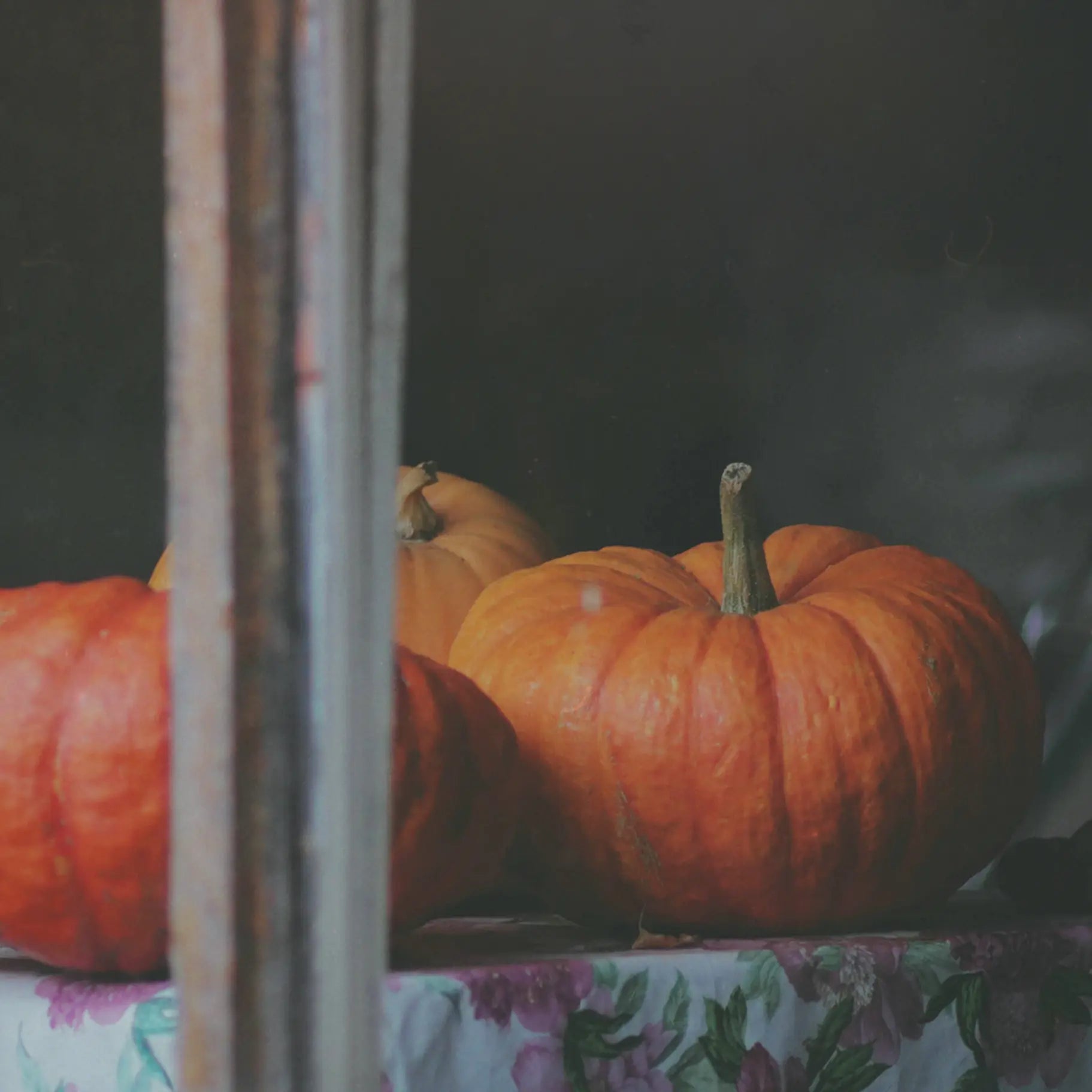 Pumpkin Spice