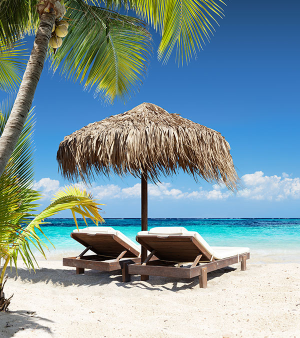 Seaside Serenity