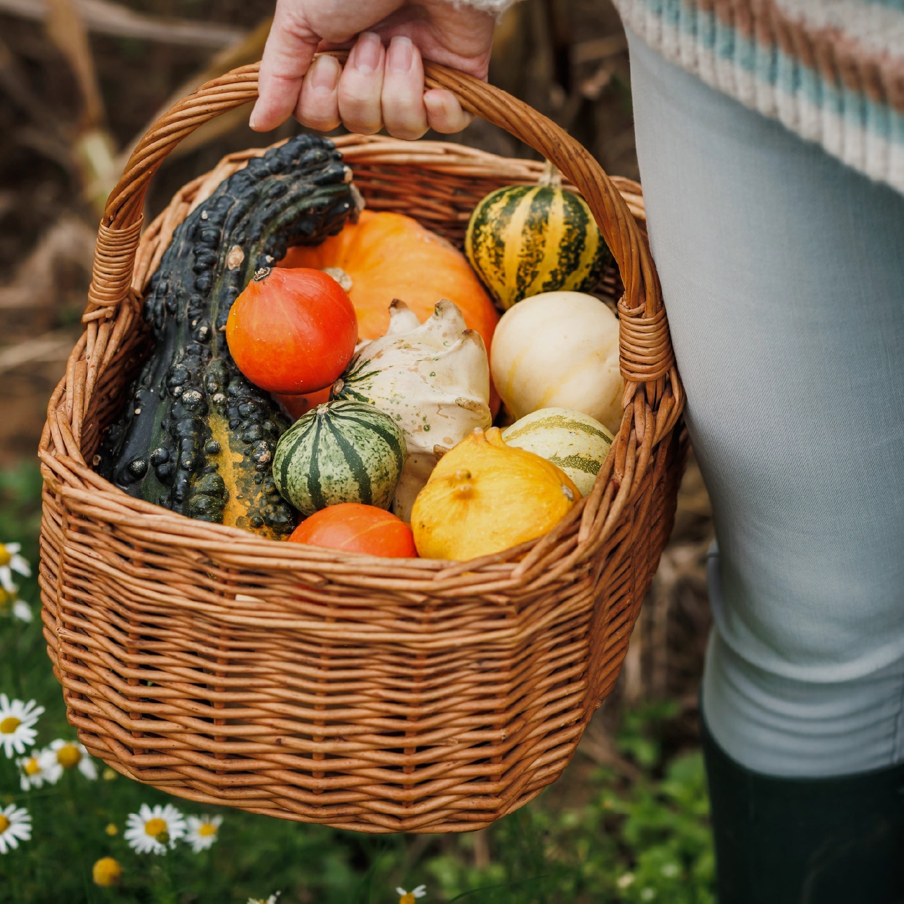 Lifestyle image to feel like harvest spice