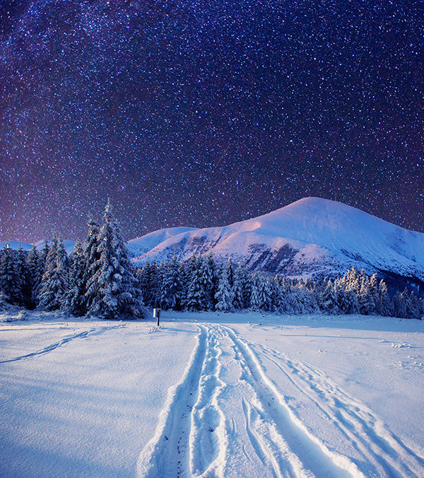 Fresh Snow