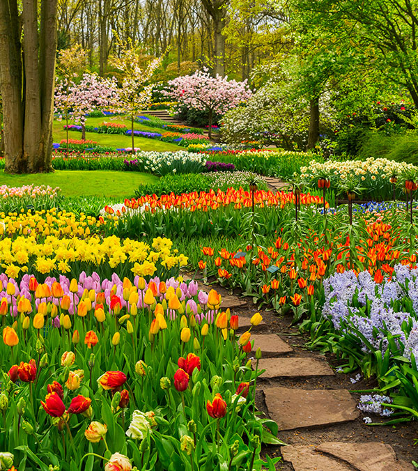 Luxe Garden