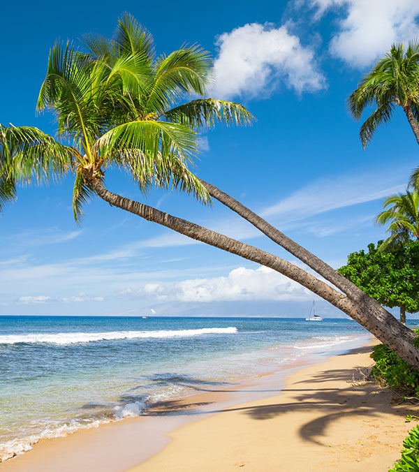 Maui Sun